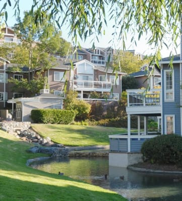 Apartments for Rent in Larkspur CA Larkspur Court